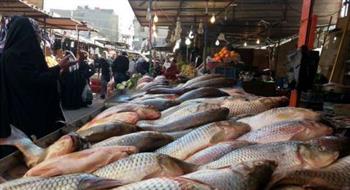   استقرار أسعار الأسماك اليوم الأحد 