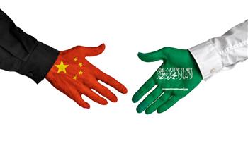   السعودية والصين تبحثان العلاقات الثنائية وأوضاع المنطقة