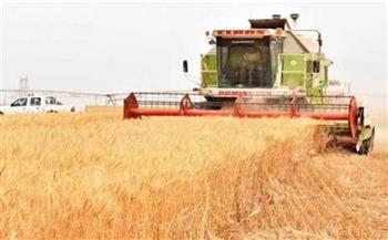   زراعة دمياط تبدأ استعداداتها لحصاد 30 ألفا و170 فدانا من محصول القمح