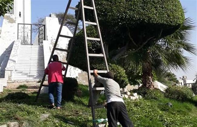 قص وتشكيل الأشجار والحديات بطريقي الحرية وقنال السويس بالإسكندرية 