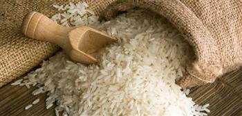   هل ترتفع أسعار الأرز قبل شهر رمضان.. رئيس الشعبة يوضح