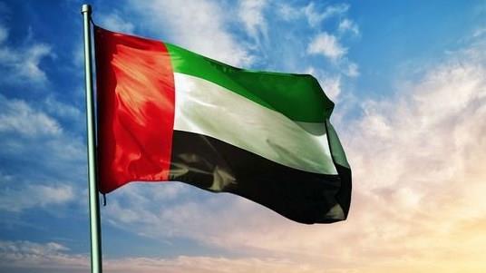 ‎الإمارات تدعو المجتمع الدولى لاتخاذ خطوات حاسمة ضد مليشيا الحوثي