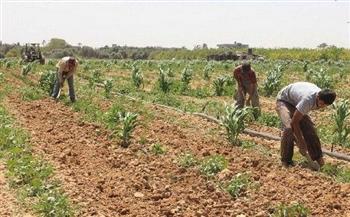   "زراعة كفرالشيخ": تنظيم فعاليات مشروع للزراعة المبتكرة ودعم مزارعي الحيازات الصغيرة