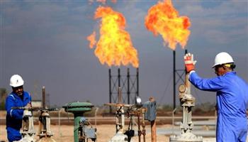   الرئيس اللبناني يبحث تطورات استيراد الغاز المصري والكهرباء الأردنية