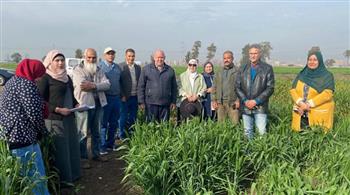   مدير معهد أمراض النباتات يتفقد زراعات محصول القمح بكفر الشيخ