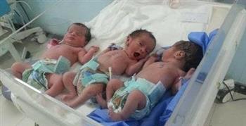   «الرعاية الصحية»: نجاح ولادة ثلاثة توائم لسيدة حامل في الشهر الثامن