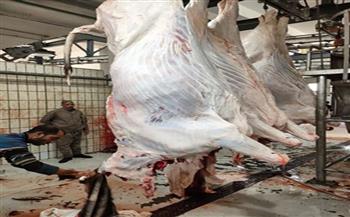   محافظ الإسكندرية: الاستعداد لتوفير كميات كافية من اللحوم والدواجن ذات جودة عالية