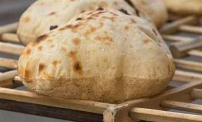 شعبة المخابز تكشف موعد انخفاض أسعار الدقيق السياحي.. فيديو