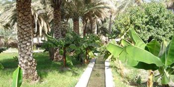   «الفاو» تشيد بجهود عمان في اتخاذ التدابير الفعالة التي تعكس أهمية المياه الجوفية