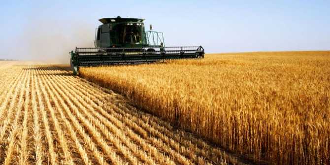 زراعة كفر الشيخ: استعدادات مكثفة لتوريد القمح وجاهزية الصوامع لاستقبال المحصول