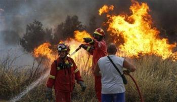   اليونان تخطط للبدء مبكرا فى اتخاذ إجراءات لمواجهة حرائق الغابات 