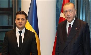   أردوغان يبحث مع زيلينسكي مستجدات الأزمة في أوكرانيا
