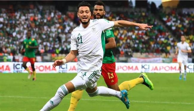 بث مباشر مباراة الجزائر والكاميرون الحاسمة لكأس العالم 2022