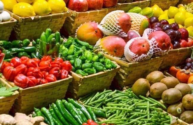 ٥٧ مليونا و٥١٤ ألف دولار قيمة الصادرات الزراعية بالإسماعيلية خلال فبراير الماضي