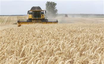   الهند تخفف أزمة نقص الإمدادات العالمية من القمح 