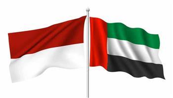 الإمارات: تطوير علاقات التعاون مع  إندونيسيا فى شتى المجالات