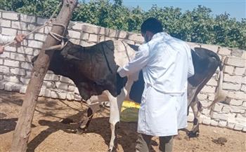   «الزراعة»: تحصين أكثر من 8ر3 مليون رأس ماشية ضد الحمى القلاعية والوادي المتصدع
