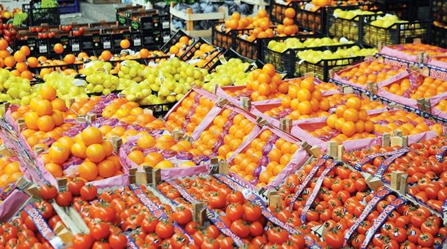 1.25 مليار دولار قيمة صادرات الحاصلات الزراعية خلال 6 أشهر 