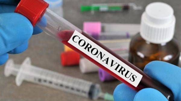 «الصحة الكويتية»: تسجيل 499 إصابة جديدة بفيروس «كورونا» خلال 24 ساعة