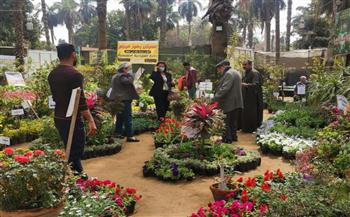   إقبال كبير من المواطنين على معرض زهور الربيع بحديقة الأورمان