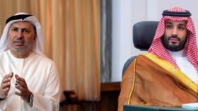   قرقاش يعلق على حوار الأمير محمد بن سلمان مع مجلة «أتلانتيك» الأمريكية   