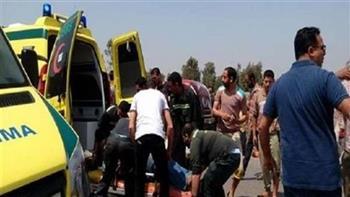 إصابة شخصين إثر حادث اصطدام سيارة بالرصيف أعلى الدائرى بالجيزة 