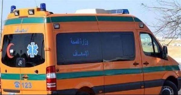 إصابة شقيقتين سقط عليهما عرق خشب فى بنى سويف 