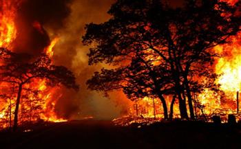   الرئيس الكوري الجنوبي يتعهد بتقديم الدعم الحكومي السريع لمتضرري حرائق الغابات