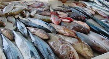   أسعار الأسماك فى سوق العبور اليوم الإثنين 