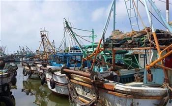 كفر الشيخ: فتح ميناء الصيد البحري ببرج البرلس جزئيًا