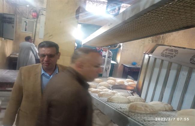 ضبط ٢٣ مخالفة تموينية في حملة موسعة بمدينة الحمام 