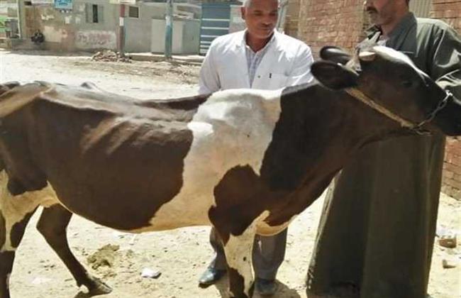 جامعة الزقازيق توجه قافلة بيطرية لقرية غزالة مركز الزقازيق بالشرقية
