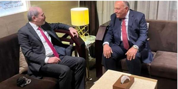 وزير الخارجية يلتقى نظيره الأردنى على هامش اجتماعات الجامعة العربية