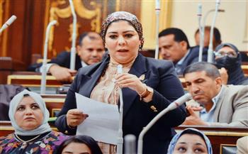   برلمانية : المرأة المصرية تعيش أزهي عصور التمكين في عهد الرئيس السيسي