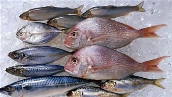   ارتفاع أسعار بعض أصناف الأسماك اليوم الأربعاء 