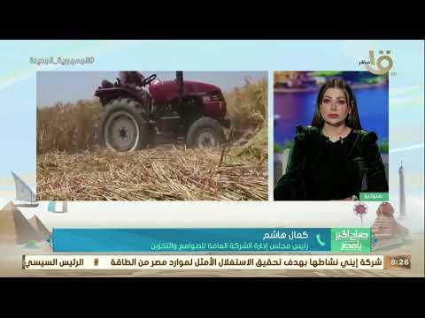 «الصوامع والتخزين»: بدأنا استعدادات موسم حصاد القمح منذ فبراير