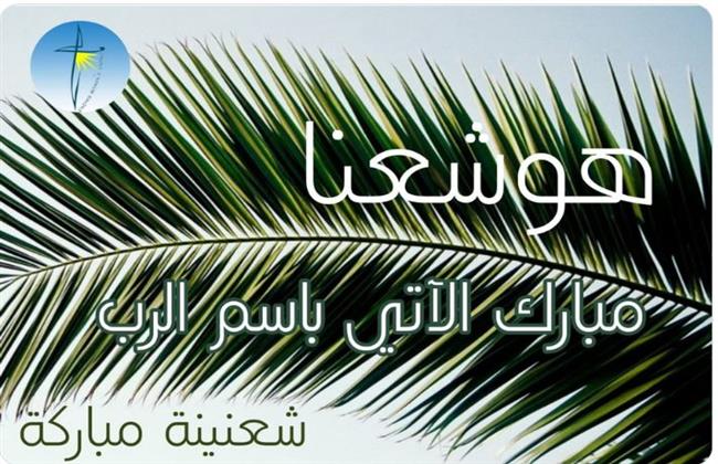 شعنينة مباركة.. نجمات لبنان يحتفلن بأحد السعف