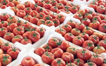   «الفلاحين»: أزمة ارتفاع سعر الطماطم ستنتهي خلال 15 يوما