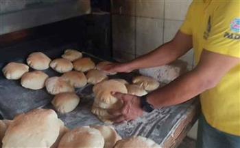   تموين البحيرة: ضبط 15 مخبزًا مخالفًا في كوم حمادة