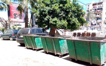   الشريف: رفع ١١٥ طن مخلفات طبية من شوارع الإسكندرية خلال أسبوع 