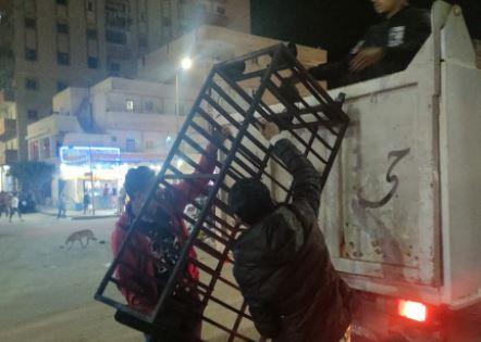 تحرير 475 محضر متنوع وتحصيل 31 ألف جنيه غرامات فورية بالإسكندرية  
