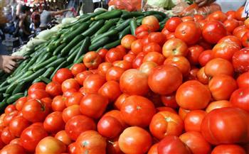   الطماطم بـ10 جنيهات.. الزراعة تعلن توفير الخضروات بأسعار مخفضة فى منافذها