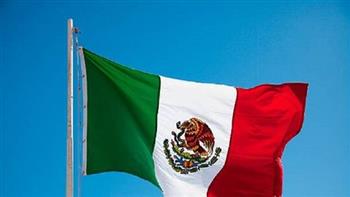   المكسيك.. مسلحون يقتلون أسرة من 8 أفراد