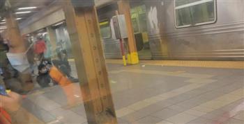   إصابة عدة أشخاص إثر إطلاق نار في محطة مترو بنيويورك 