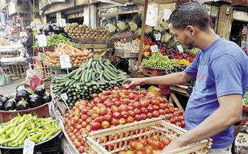   النجيب : الأيام المقبلة ستشهد انخفاضا في أسعار الخضراوات والفاكهة 