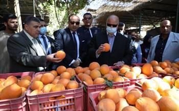 محافظ القاهرة يتفقد سوق ساحل أثر النبي للغلال والخضروات والفاكهة