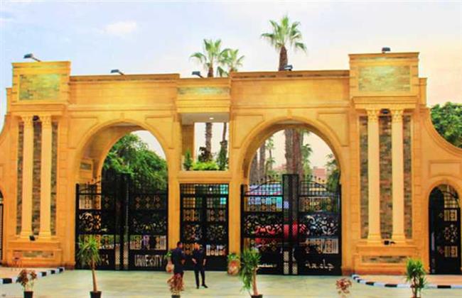 جامعة المنصورة تنظم ورشة عمل "التربية الإعلامية الرقمية" لمواجهة الأفكار المتطرفة 