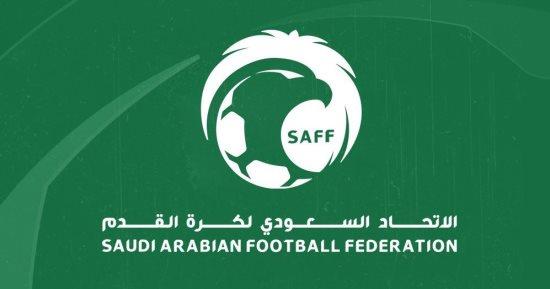 الاتحاد السعودي يقرر زيادة أندية دوري " محمد بن سلمان" للمحترفين