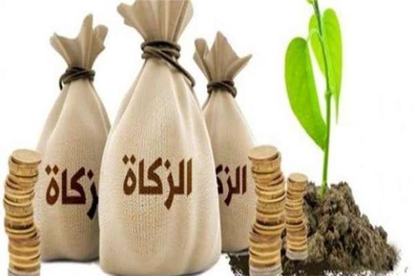 سعيد عامر: الزكاة تطهر الإنسان من الحقد والحسد وغيرها من الأخلاق الخبيثة