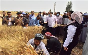   محافظ أسيوط يشارك المزارعين «بالمنجل» فى حصاد القمح 
